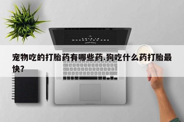 推荐个卖打胎药微信联系方式宠物吃的打胎药有哪些药.狗吃什么药打胎最快？