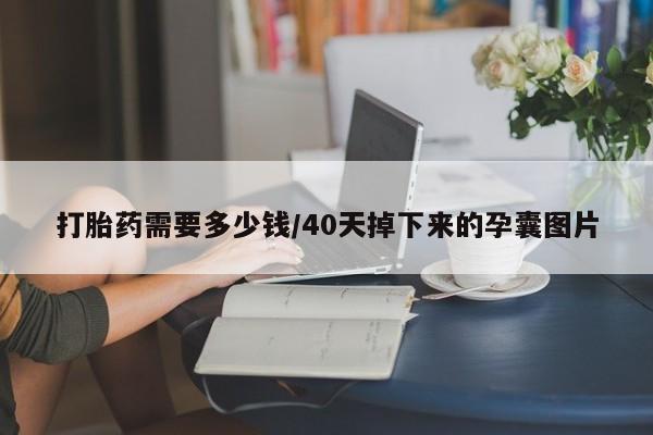 推荐个卖打胎药微信联系方式打胎药需要多少钱/40天掉下来的孕囊图片